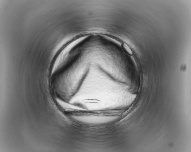 X0000091101325200709041315