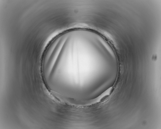 X0000091101326200709041315