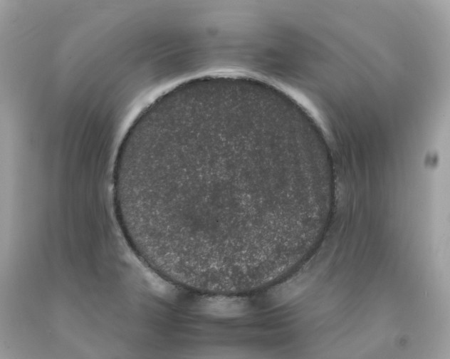 X0000091101327200709041315