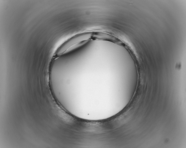 X0000091101328200709041315