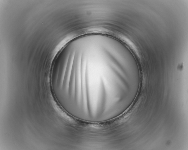 X0000091101330200709041315