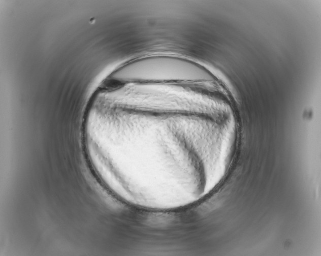 X0000091101333200709041315