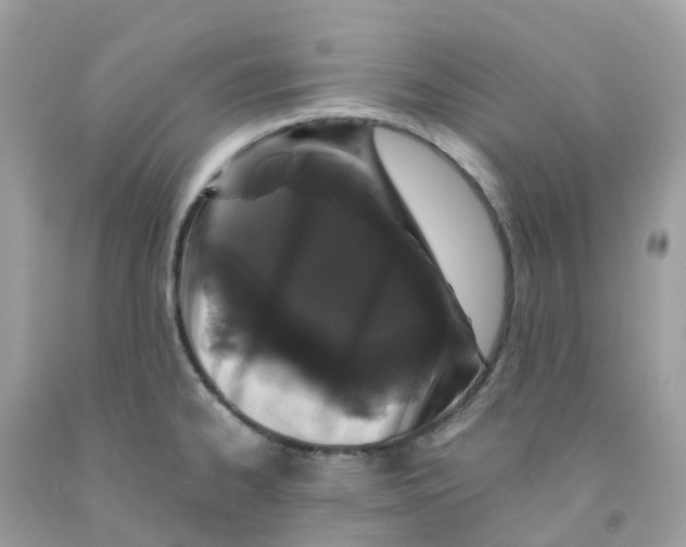 X0000091101334200709041315