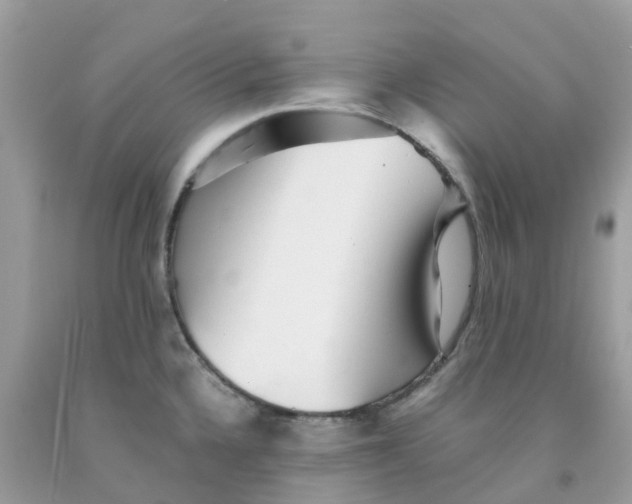 X0000091101336200709041315