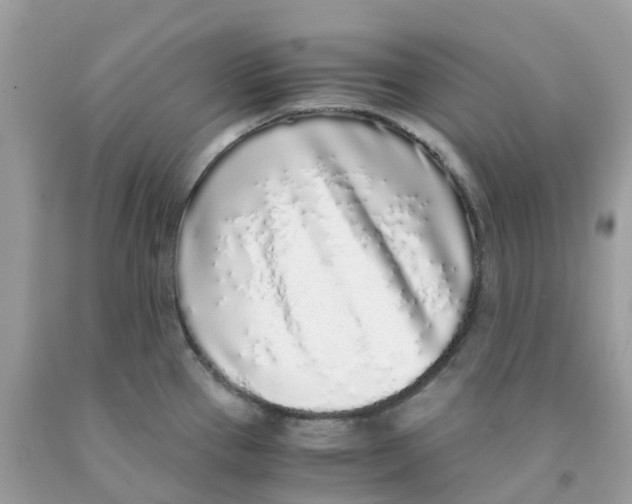 X0000091101337200709041315