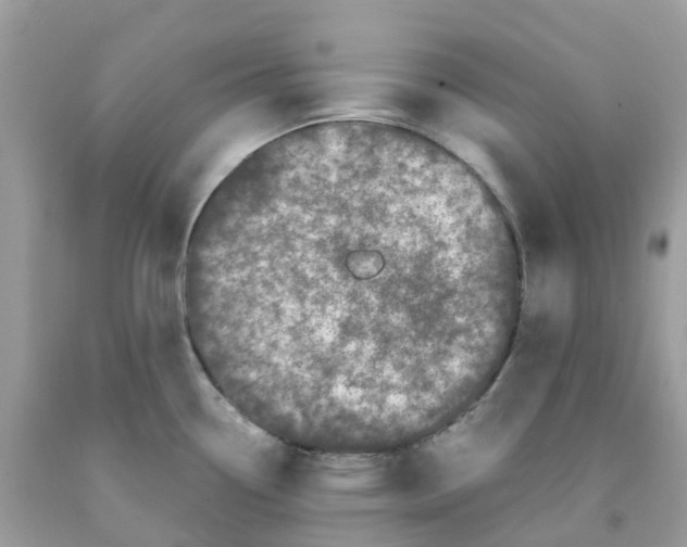 X0000091101338200709041315