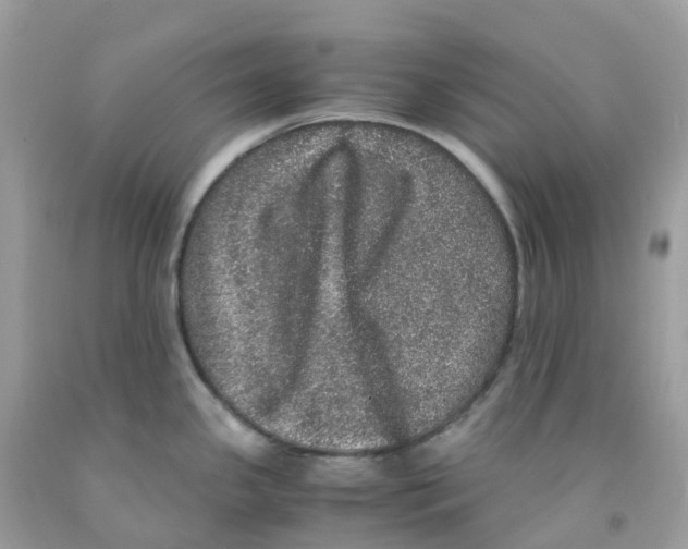 X0000091101341200709041315