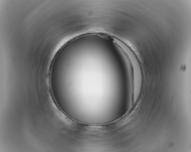 X0000091101342200709041315