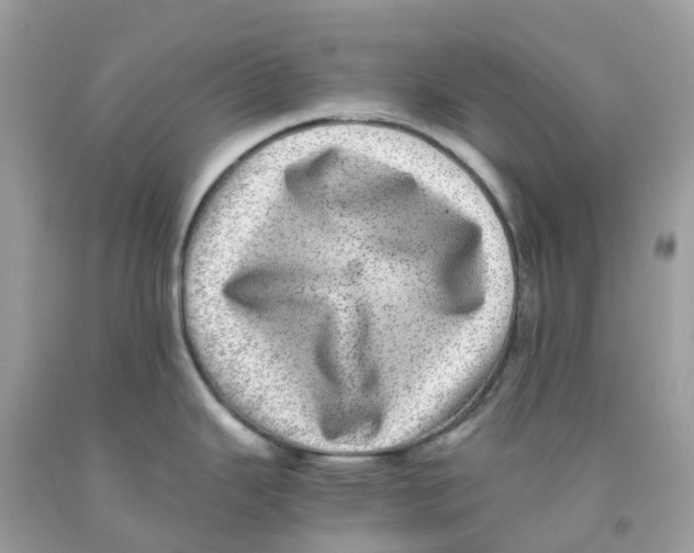 X0000091101343200709041315