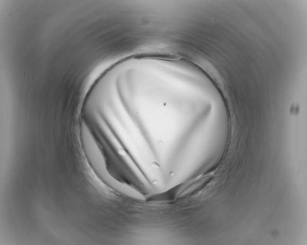 X0000091101344200709041315