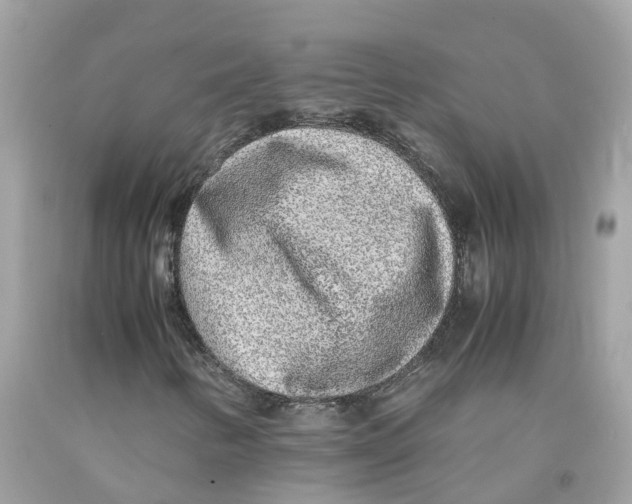 X0000091101346200709041315