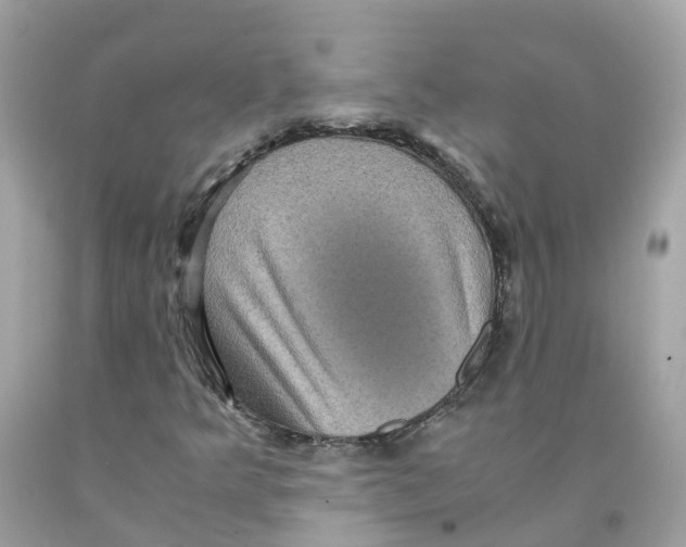 X0000091101349200709041314