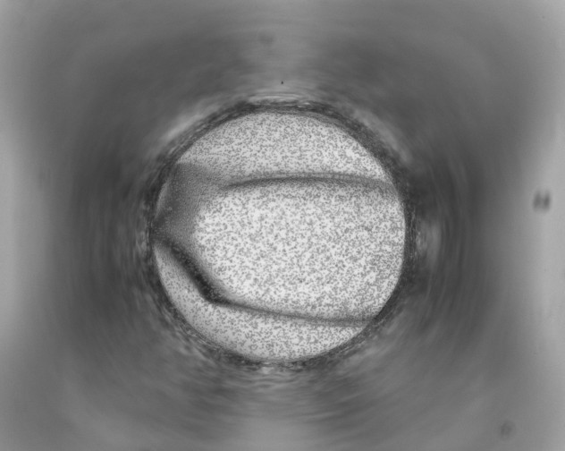 X0000091101350200709041314