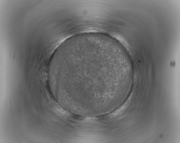 X0000091101353200709041314