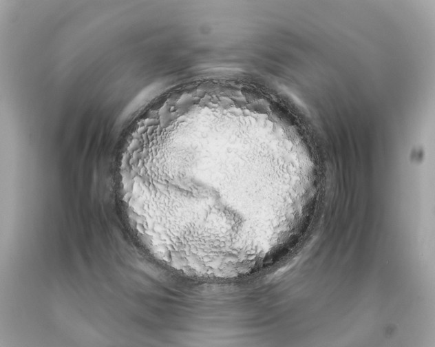 X0000091101354200709041314