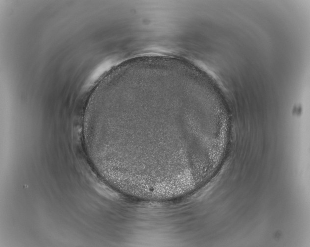 X0000091101355200709041314