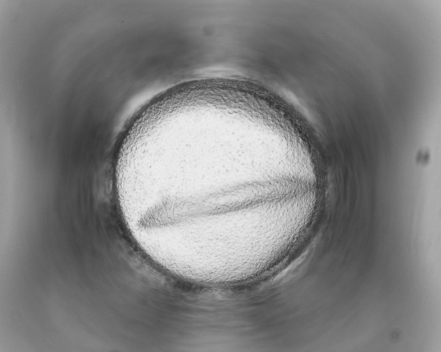 X0000091101358200709041314