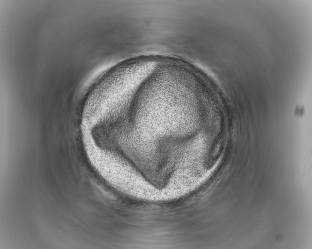 X0000091101359200709041314