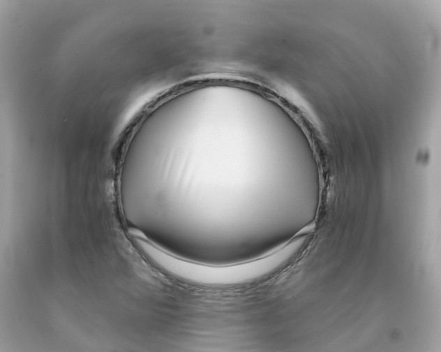 X0000091101360200709041314