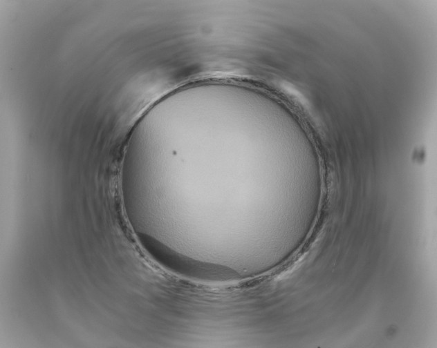 X0000091101361200709041314