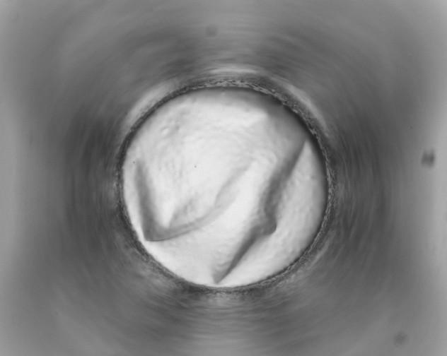 X0000091101362200709041314