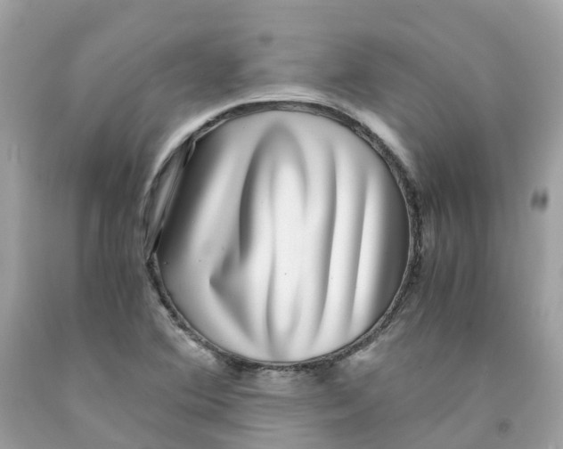 X0000091101364200709041314