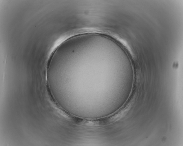 X0000091101365200709041314