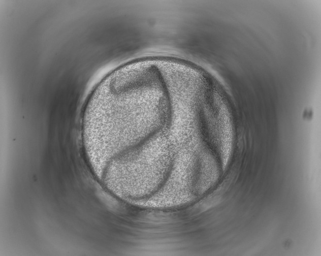 X0000091101366200709041314