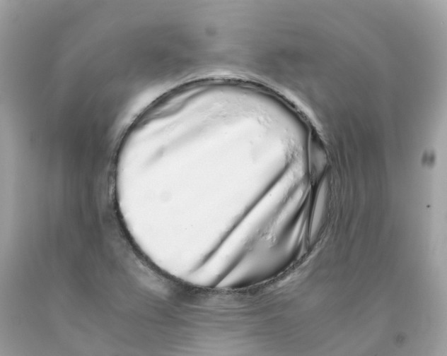 X0000091101367200709041314