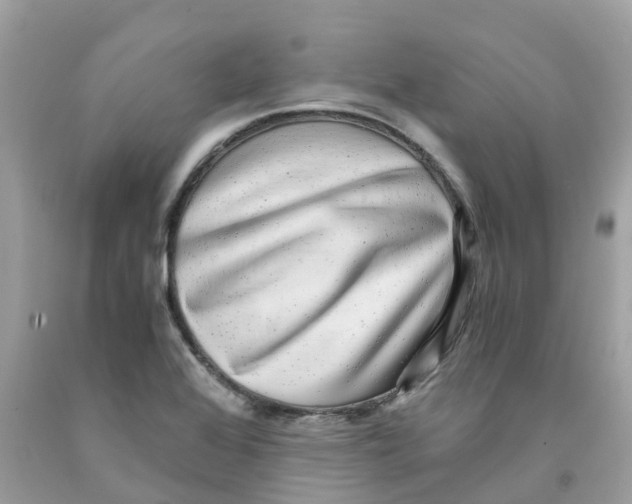 X0000091101368200709041314