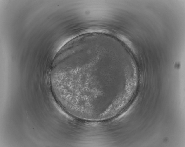 X0000091101369200709041314