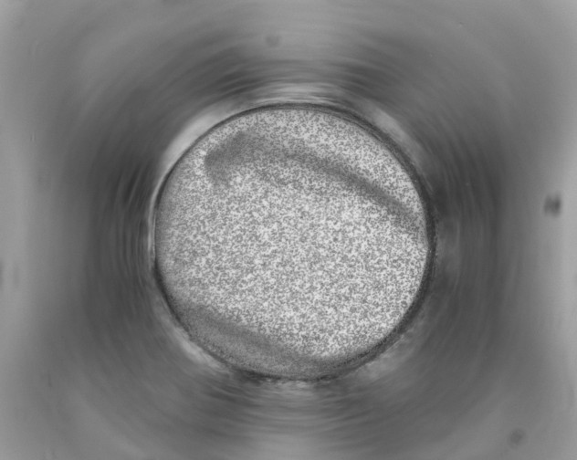 X0000091101370200709041314