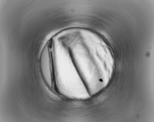 X0000091101371200709041314