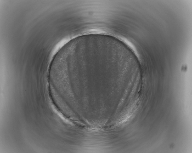 X0000091101373200709041314