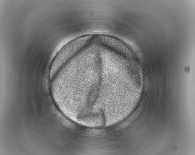 X0000091101374200709041314