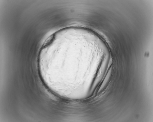 X0000091101375200709041314