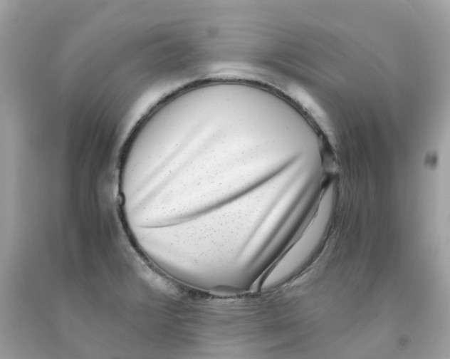 X0000091101376200709041314