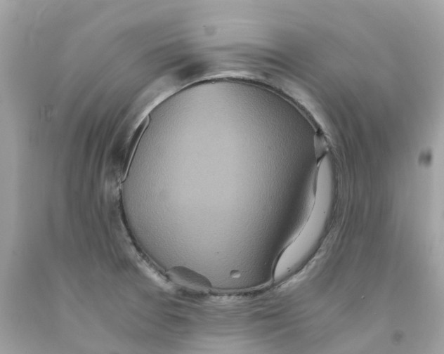 X0000091101377200709041314