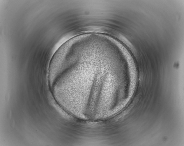 X0000091101378200709041314