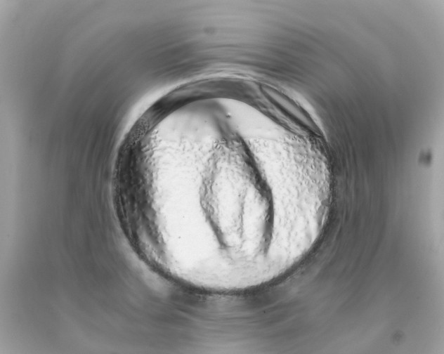 X0000091101379200709041314