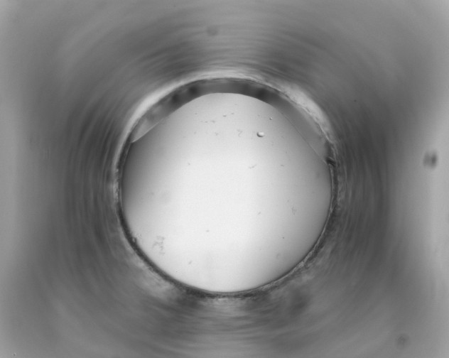 X0000091101380200709041314