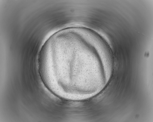 X0000091101382200709041314