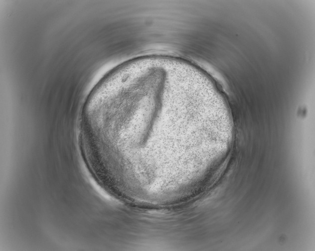 X0000091101383200709041314