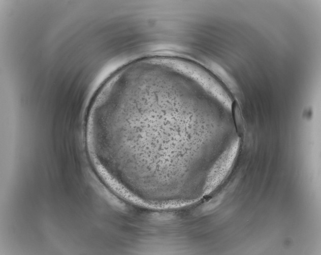 X0000091101384200709041314