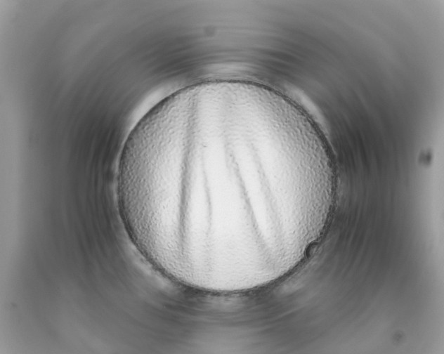 X0000091101386200709041314