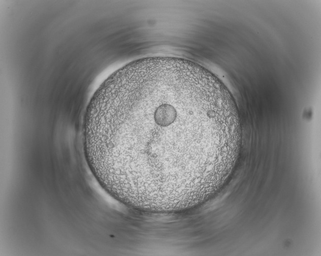 X0000091101387200709041314