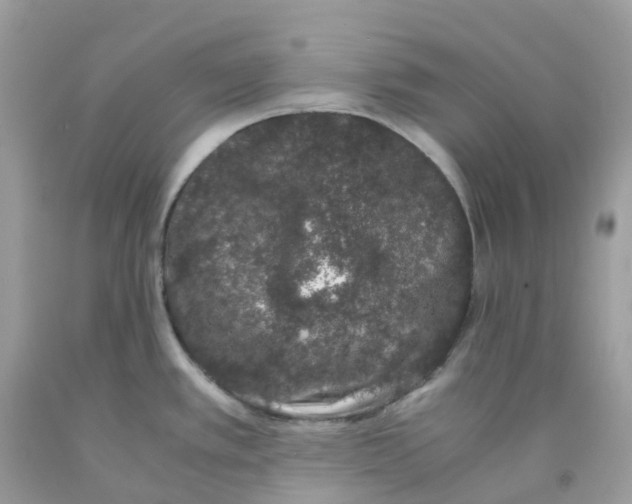 X0000091101389200709041314