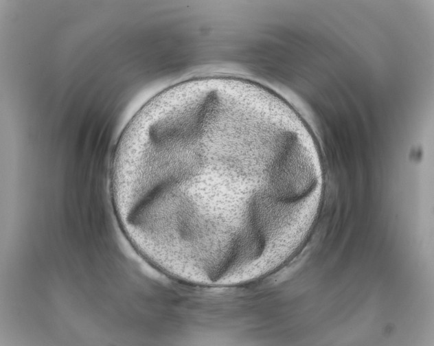 X0000091101390200709041314