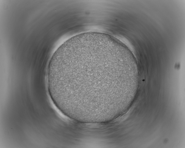 X0000091101391200709041314