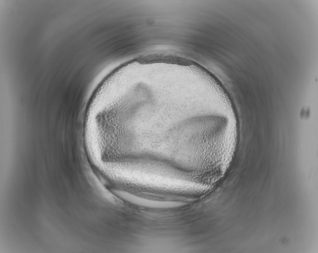 X0000091101392200709041314